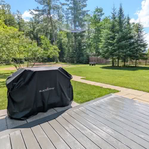 हमारे ईगल रिवर वेकेशन रेंटल में एक विशाल घास का मैदान है, जो बच्चों को झील के किनारे बाहर खेलने के लिए एक सुरक्षित और मजेदार जगह प्रदान करता है।